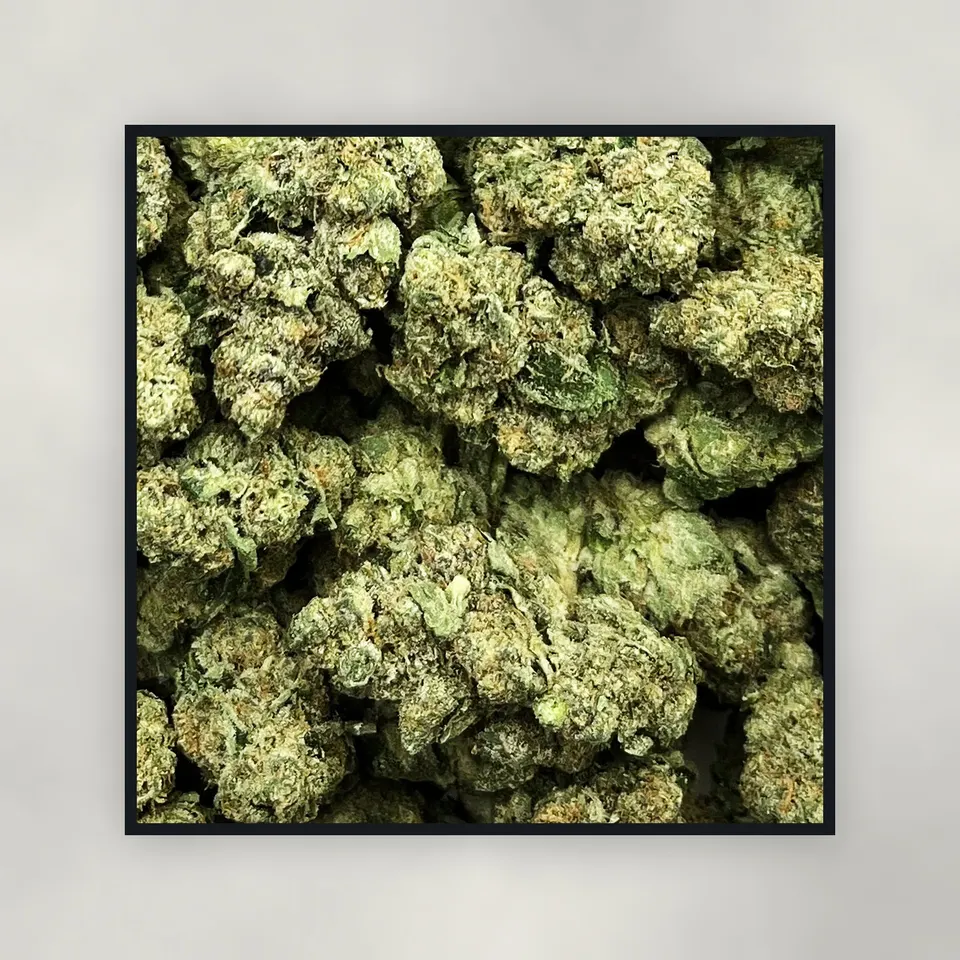A pound of Astro Candy hemp THCA flower on concrete, greenhouse