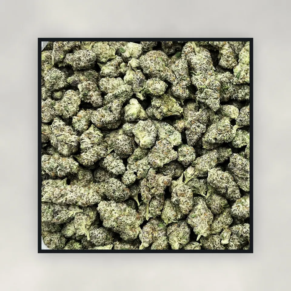 A pound of Black Magic hemp THCA flower on concrete, greenhouse