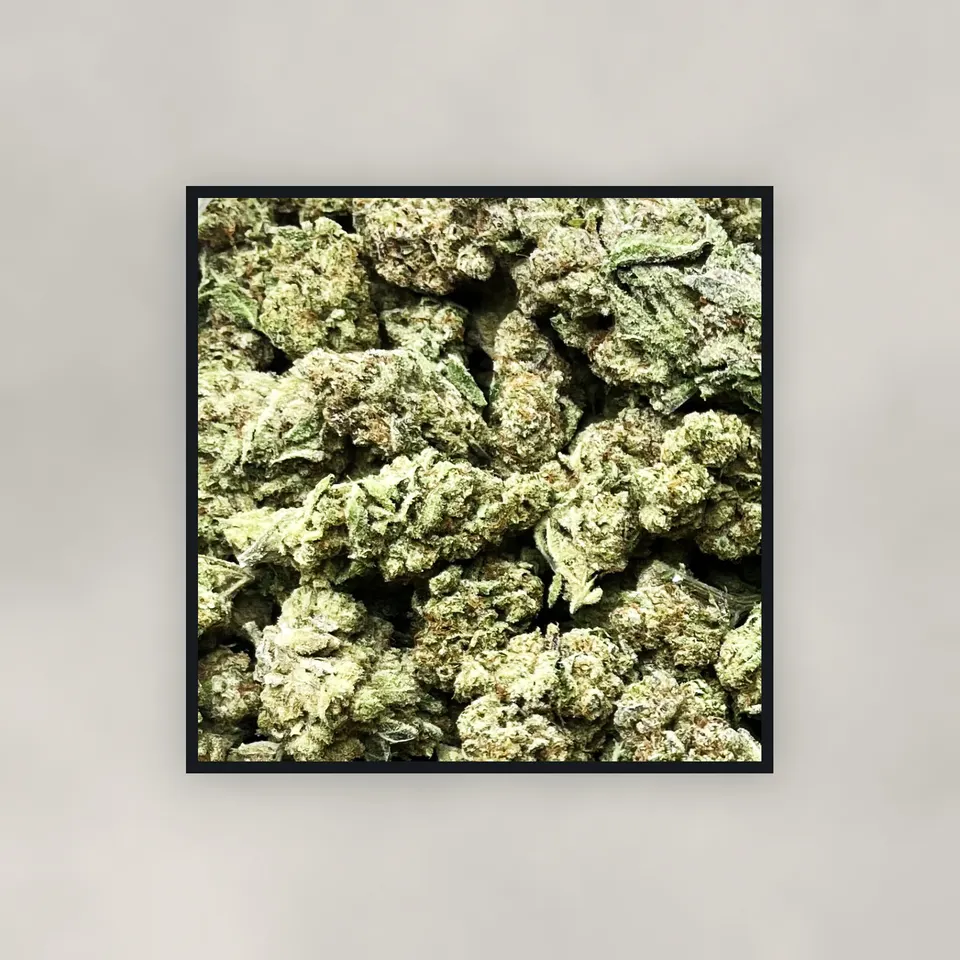 Glitter Bomb hemp THCA flower by the pound, top-down on concrete, light-dep