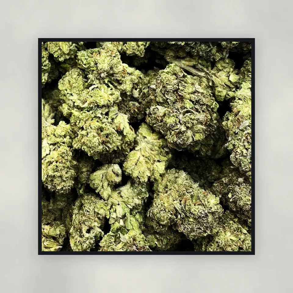 A pound of Modified Sunset hemp THCA flower on concrete, light-dep